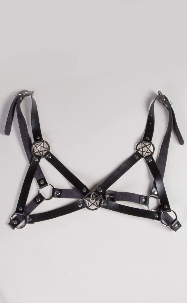 Dance with the Devil Harness Bra