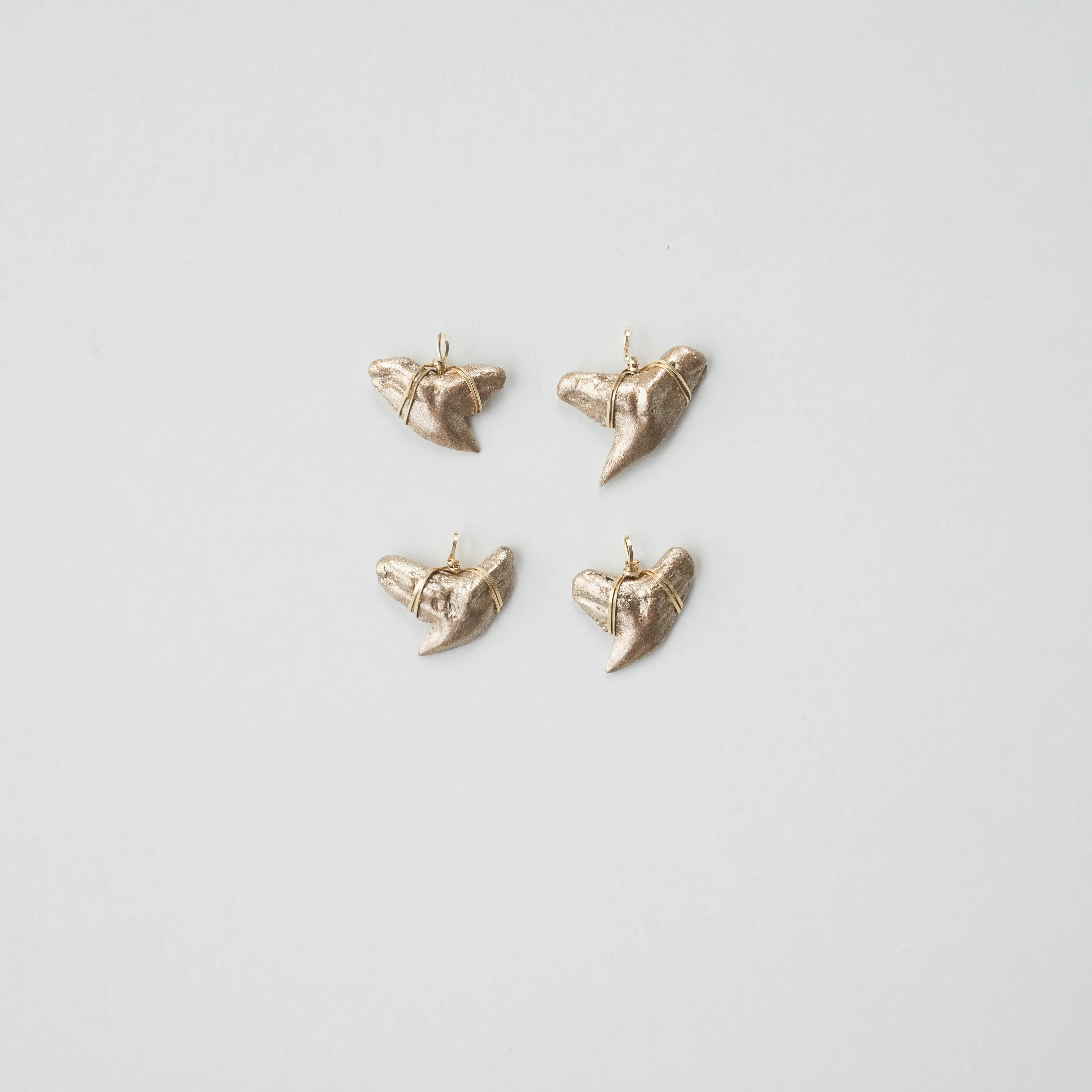 Real Shark Tooth Pendant— Foxy Fossils